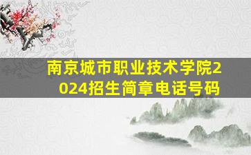 南京城市职业技术学院2024招生简章电话号码