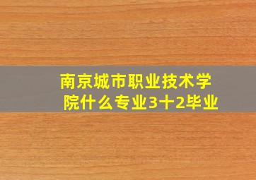 南京城市职业技术学院什么专业3十2毕业