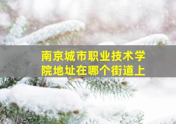 南京城市职业技术学院地址在哪个街道上