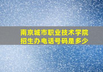 南京城市职业技术学院招生办电话号码是多少