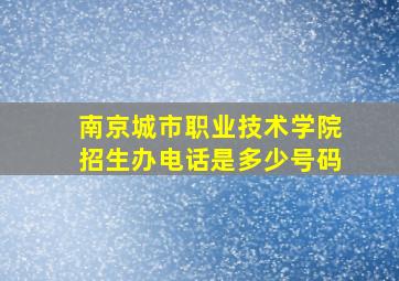 南京城市职业技术学院招生办电话是多少号码