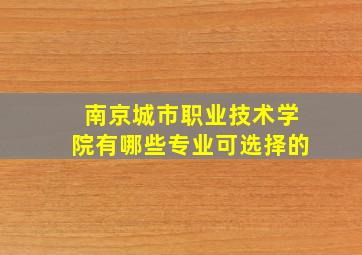 南京城市职业技术学院有哪些专业可选择的