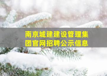 南京城建建设管理集团官网招聘公示信息