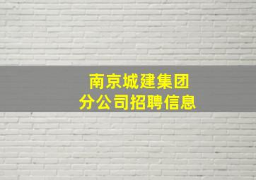 南京城建集团分公司招聘信息