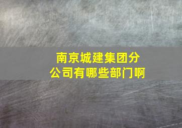 南京城建集团分公司有哪些部门啊