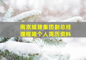 南京城建集团副总经理程曦个人简历资料