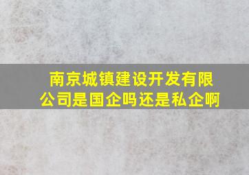 南京城镇建设开发有限公司是国企吗还是私企啊