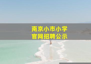 南京小市小学官网招聘公示