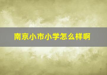 南京小市小学怎么样啊