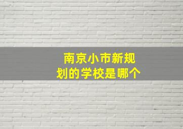 南京小市新规划的学校是哪个