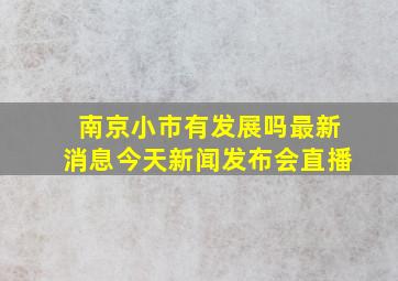 南京小市有发展吗最新消息今天新闻发布会直播