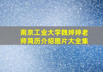 南京工业大学魏婷婷老师简历介绍图片大全集