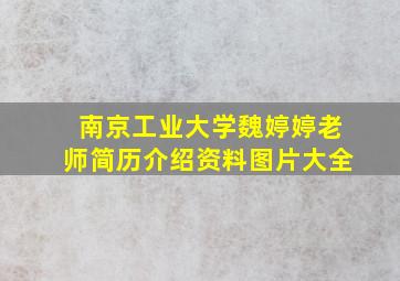 南京工业大学魏婷婷老师简历介绍资料图片大全