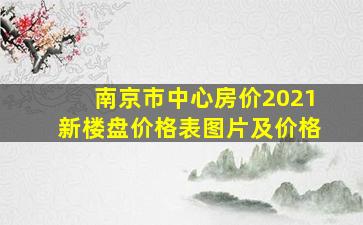 南京市中心房价2021新楼盘价格表图片及价格