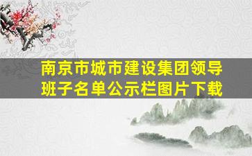 南京市城市建设集团领导班子名单公示栏图片下载