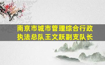 南京市城市管理综合行政执法总队王文跃副支队长