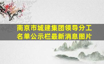 南京市城建集团领导分工名单公示栏最新消息图片