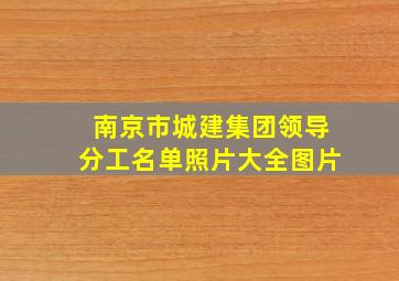 南京市城建集团领导分工名单照片大全图片