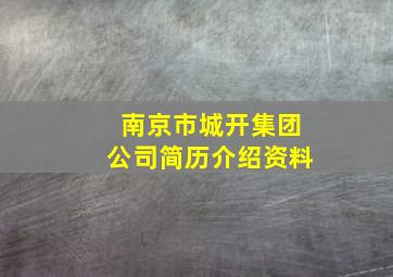 南京市城开集团公司简历介绍资料