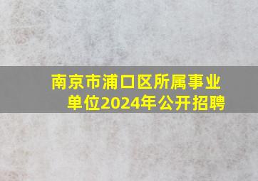 南京市浦口区所属事业单位2024年公开招聘