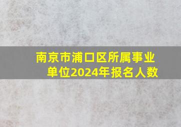 南京市浦口区所属事业单位2024年报名人数