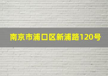 南京市浦口区新浦路120号