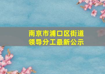 南京市浦口区街道领导分工最新公示