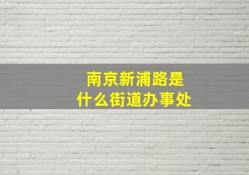 南京新浦路是什么街道办事处