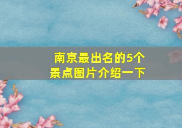 南京最出名的5个景点图片介绍一下