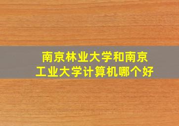 南京林业大学和南京工业大学计算机哪个好