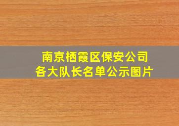 南京栖霞区保安公司各大队长名单公示图片