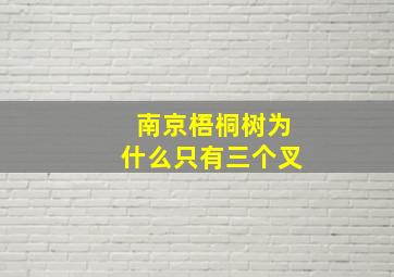 南京梧桐树为什么只有三个叉