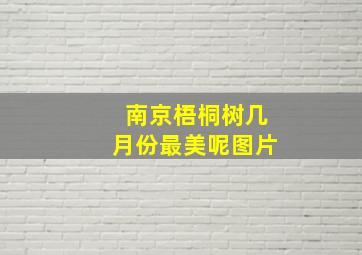 南京梧桐树几月份最美呢图片