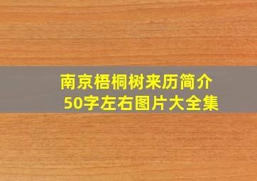 南京梧桐树来历简介50字左右图片大全集