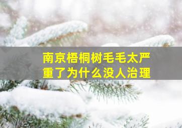 南京梧桐树毛毛太严重了为什么没人治理