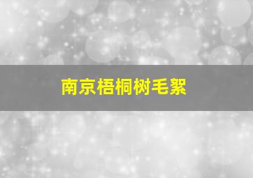 南京梧桐树毛絮