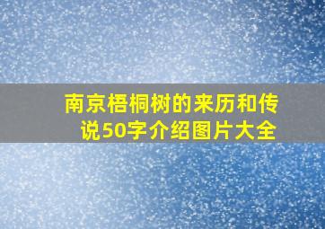 南京梧桐树的来历和传说50字介绍图片大全