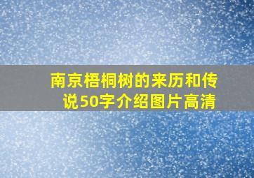 南京梧桐树的来历和传说50字介绍图片高清