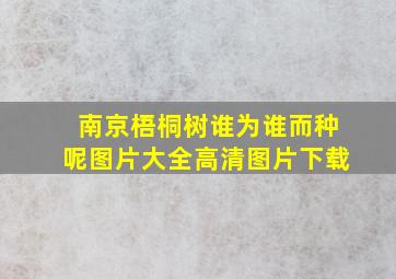 南京梧桐树谁为谁而种呢图片大全高清图片下载