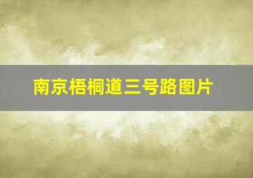 南京梧桐道三号路图片