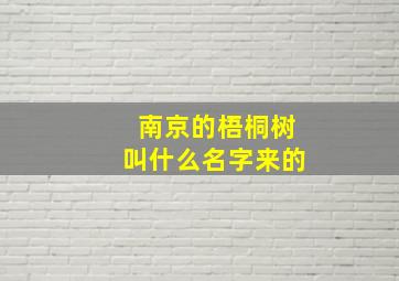 南京的梧桐树叫什么名字来的