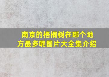 南京的梧桐树在哪个地方最多呢图片大全集介绍