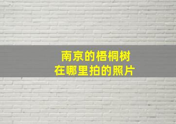 南京的梧桐树在哪里拍的照片