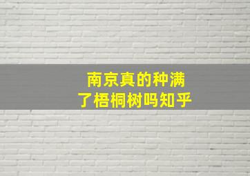 南京真的种满了梧桐树吗知乎