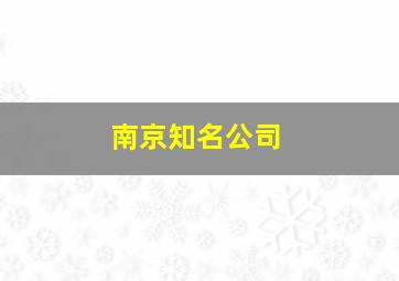 南京知名公司