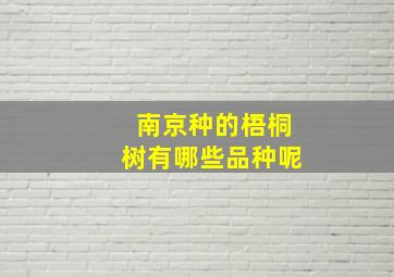 南京种的梧桐树有哪些品种呢