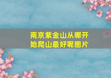 南京紫金山从哪开始爬山最好呢图片