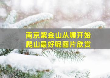 南京紫金山从哪开始爬山最好呢图片欣赏