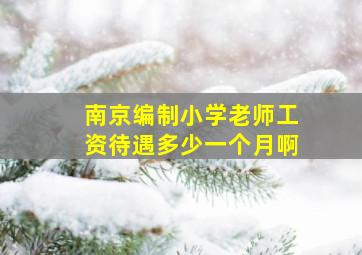 南京编制小学老师工资待遇多少一个月啊