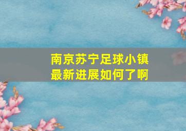 南京苏宁足球小镇最新进展如何了啊